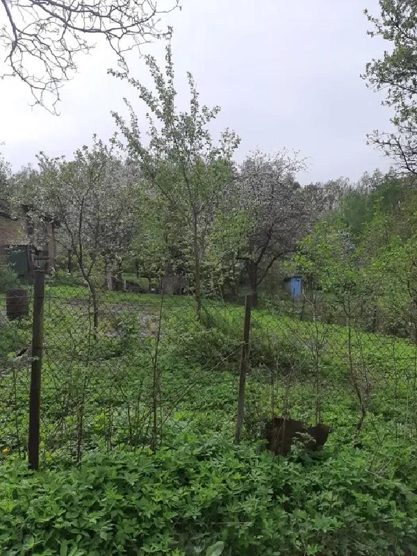  - фото нерухомості